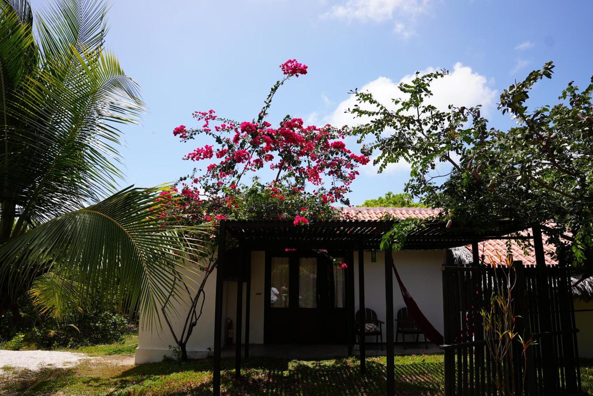 Hostal La Ferme De Georges Atins Exterior foto
